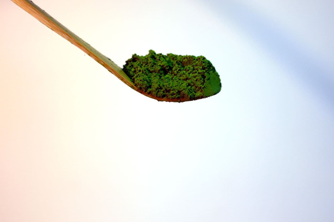 Bambusová lžička chashaku s matcha práškem